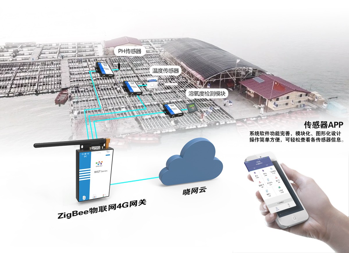 1596701527561805.jpg 農(nóng)業(yè)系統(tǒng)拓?fù)?jpg