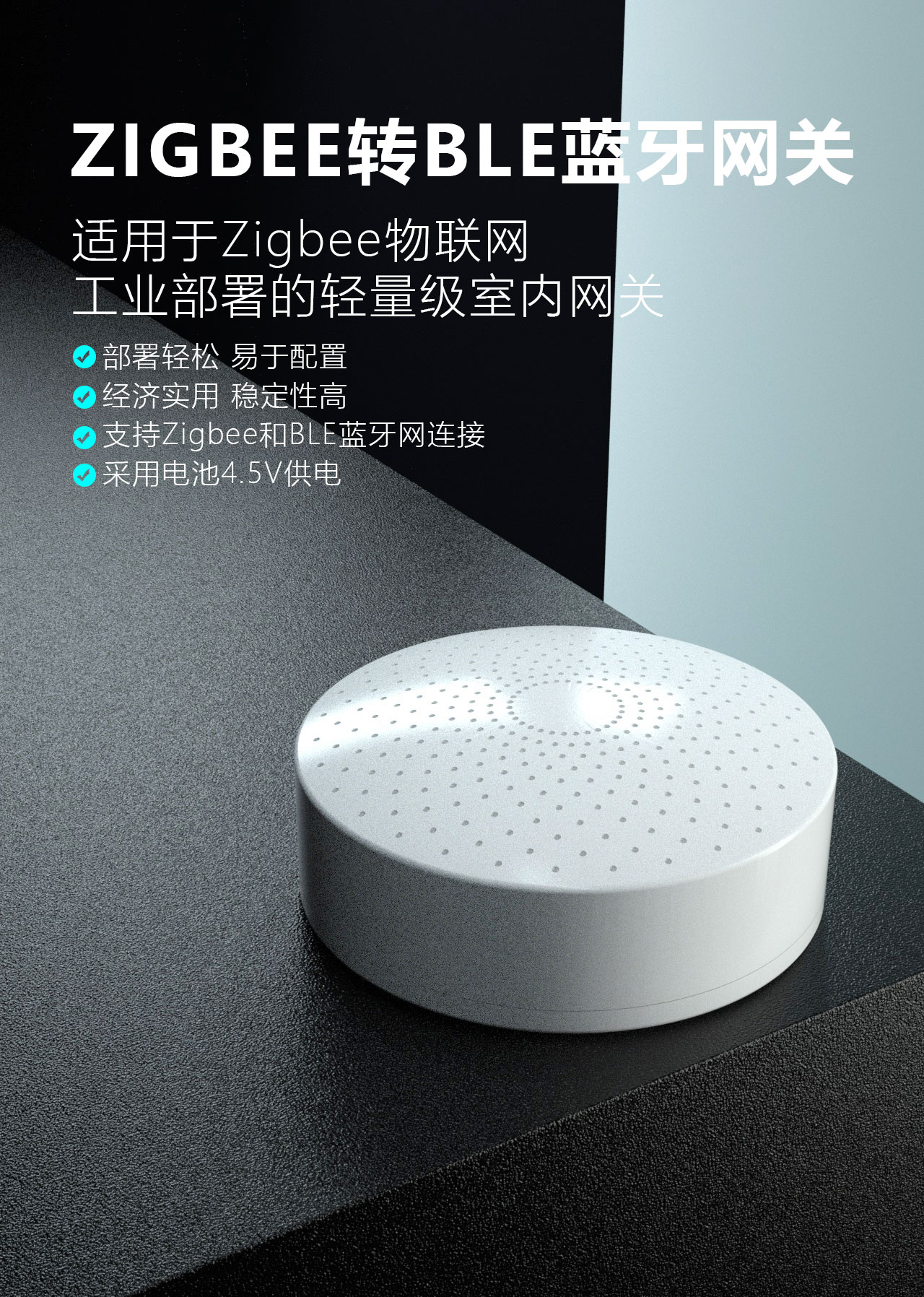 1732171584281615.jpg 主圖.jpg